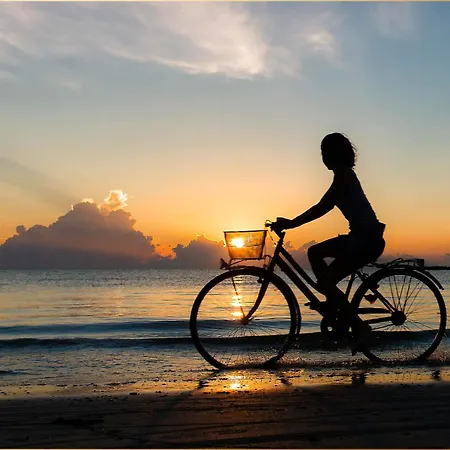 Апартаменты Terrasse Am Haff Zirchow